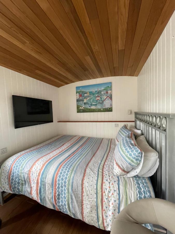 Mount View Overnight *